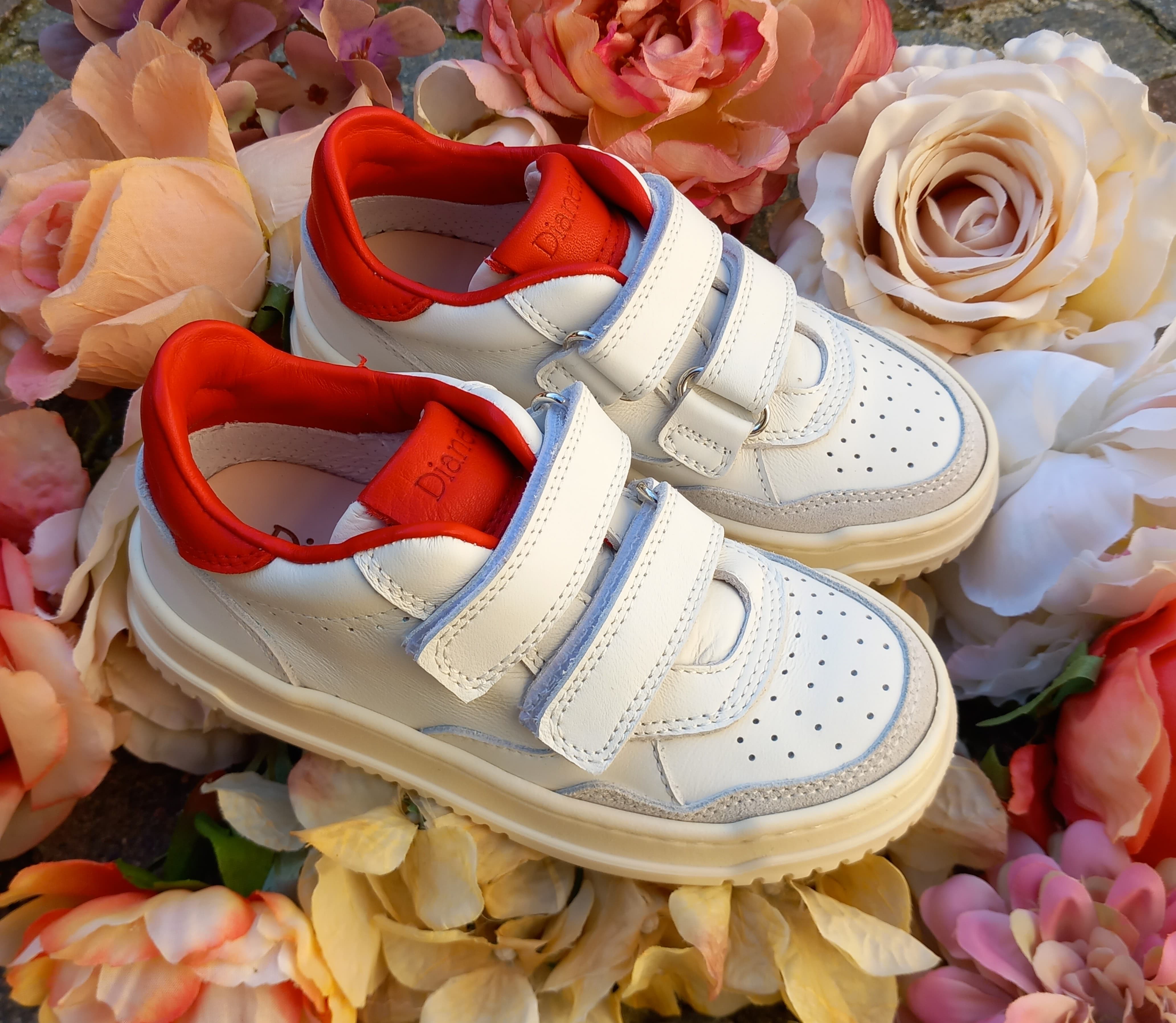 Scarpe e Sneakers