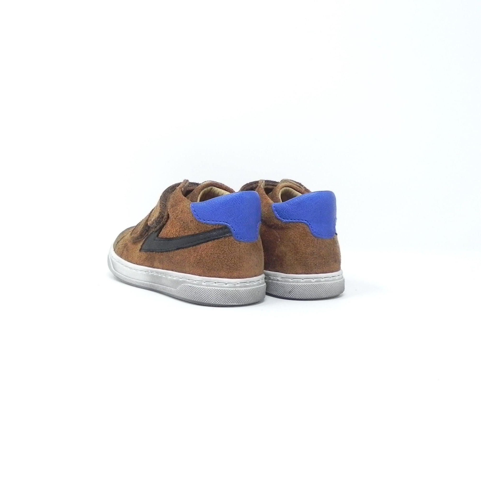 ZECCHINO D'ORO - Sneakers Alta