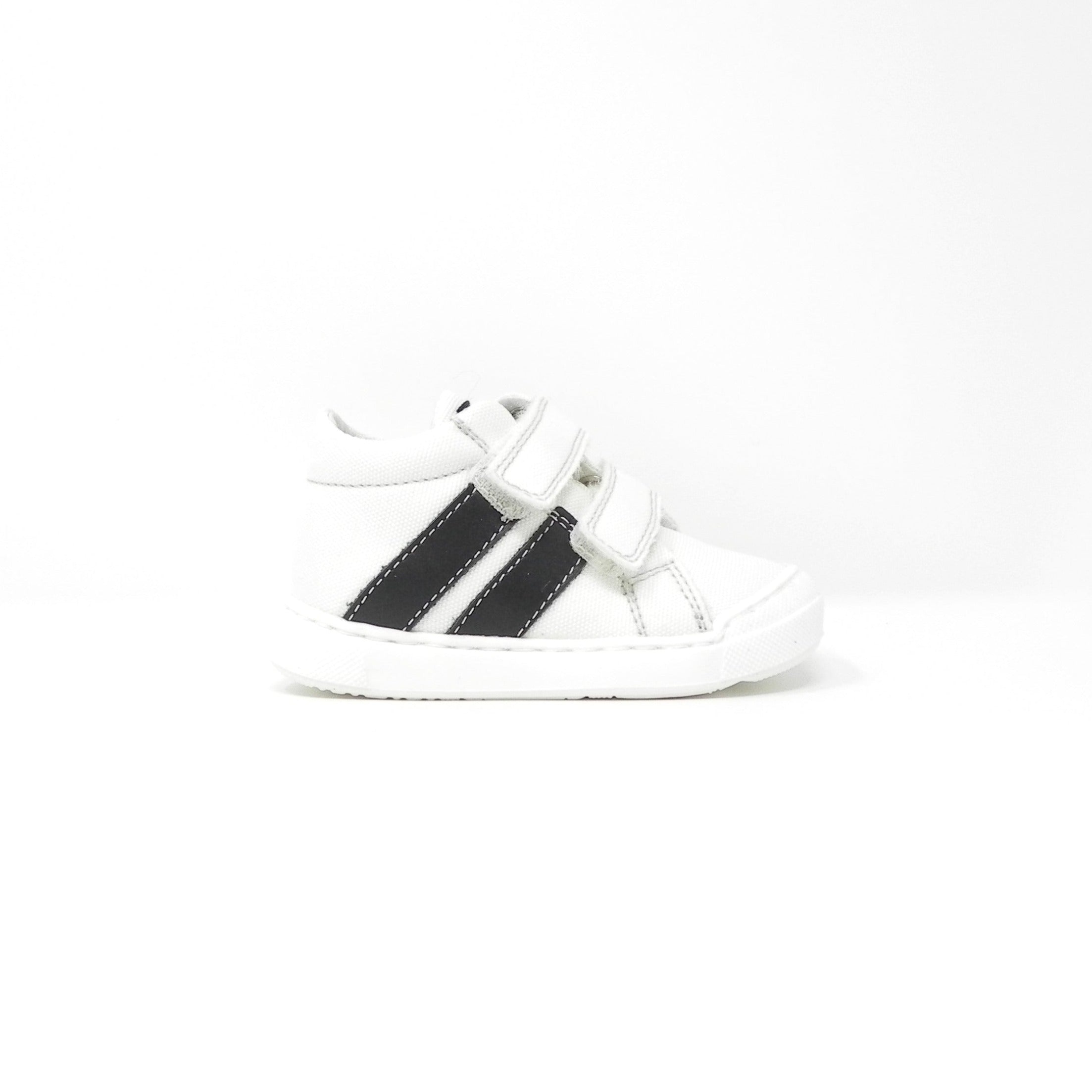 FALCOTTO - Sneakers