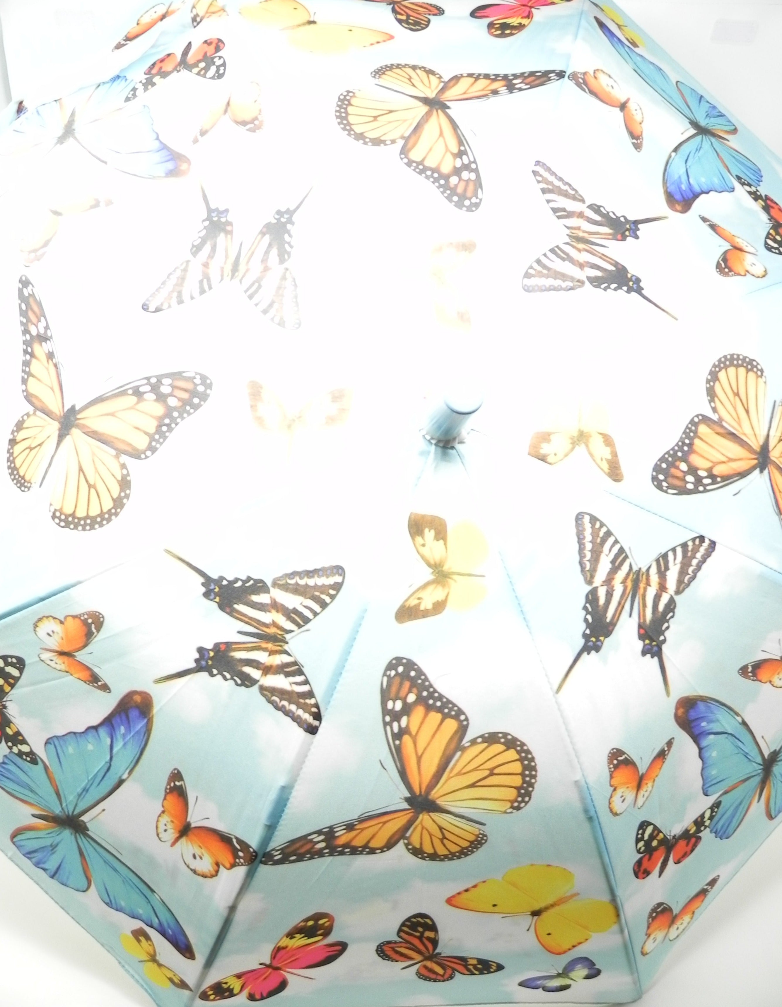 BUGZZ SOAKE - Ombrello stampato FARFALLE