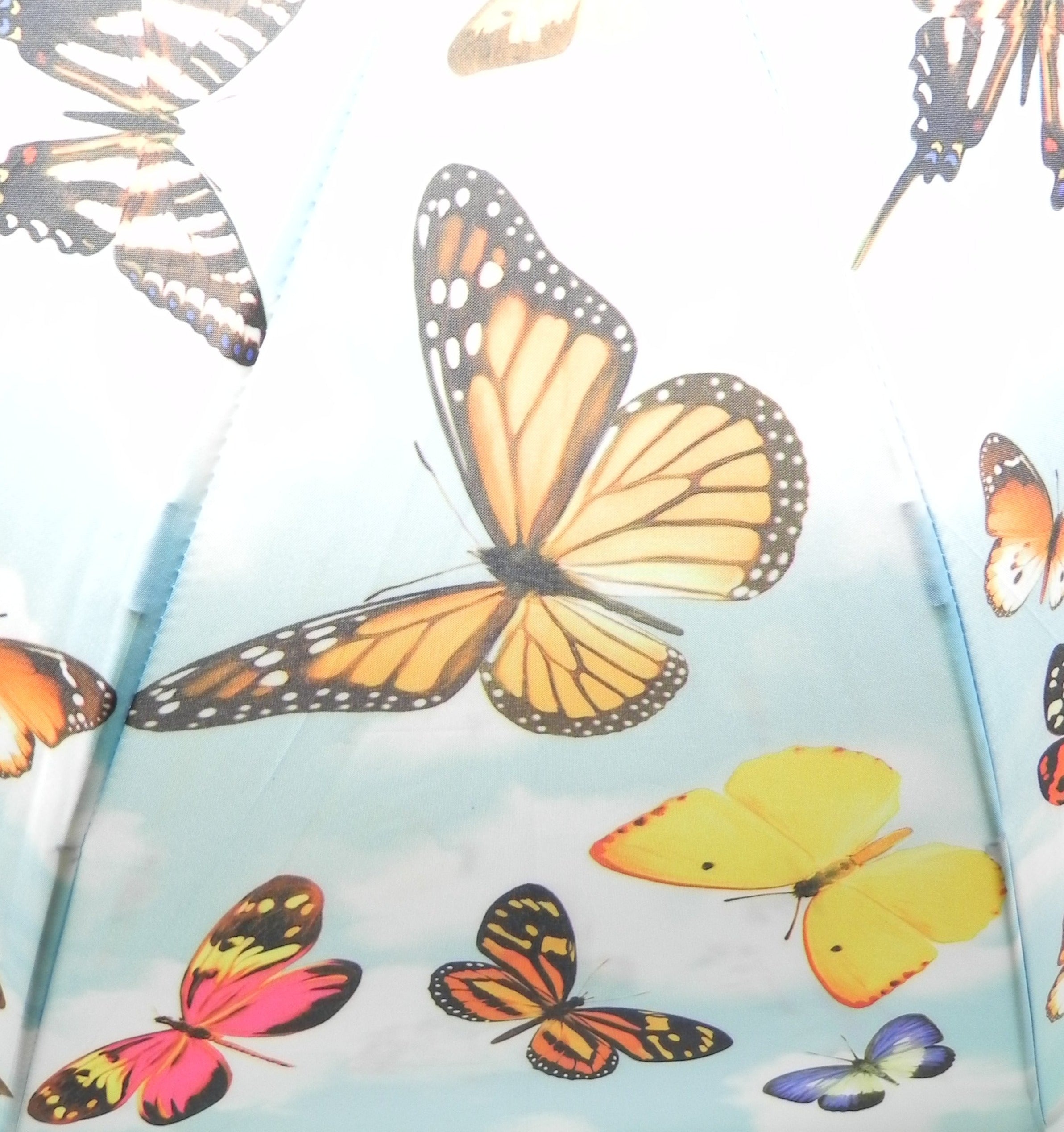 BUGZZ SOAKE - Ombrello stampato FARFALLE